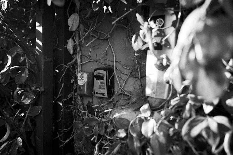 Vines growing on a wall with a small box.