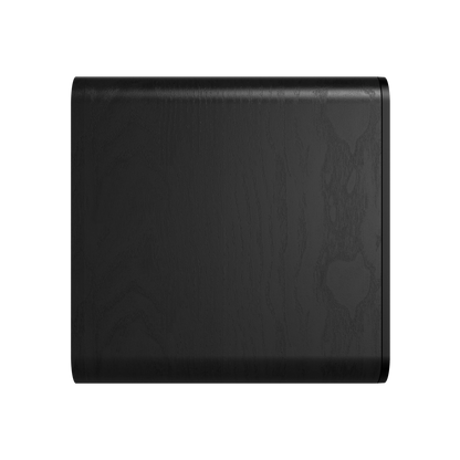 Klipsch Flexus XSUB 100 EUA Black Subwoofer