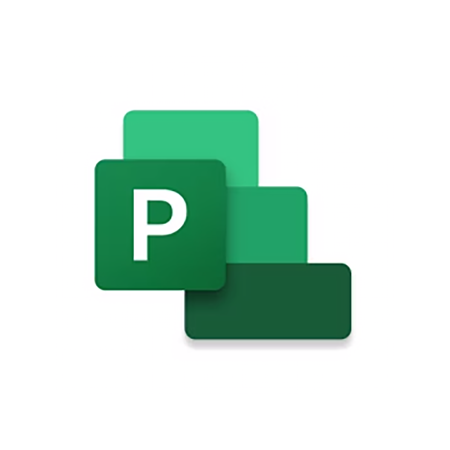 Microsoft Project 2024 Standard ESD License