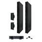 Sonance R10SUB Kit (2x R10SUB, 2x Enclosures, DSP Amp)